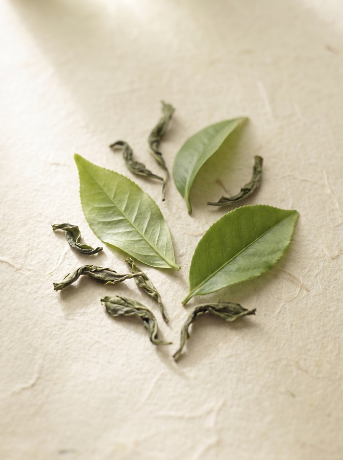 Foglie di tè verde